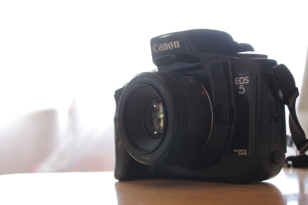 最新号掲載アイテム Canon EOS 5 QD 視線入力 フィルムカメラ tbg.qa