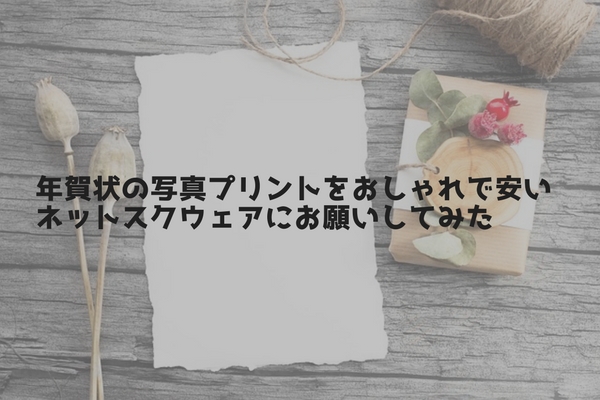 レビュー しまうまプリント年賀状の口コミは評判通り 実際に注文して感じたメリットについて